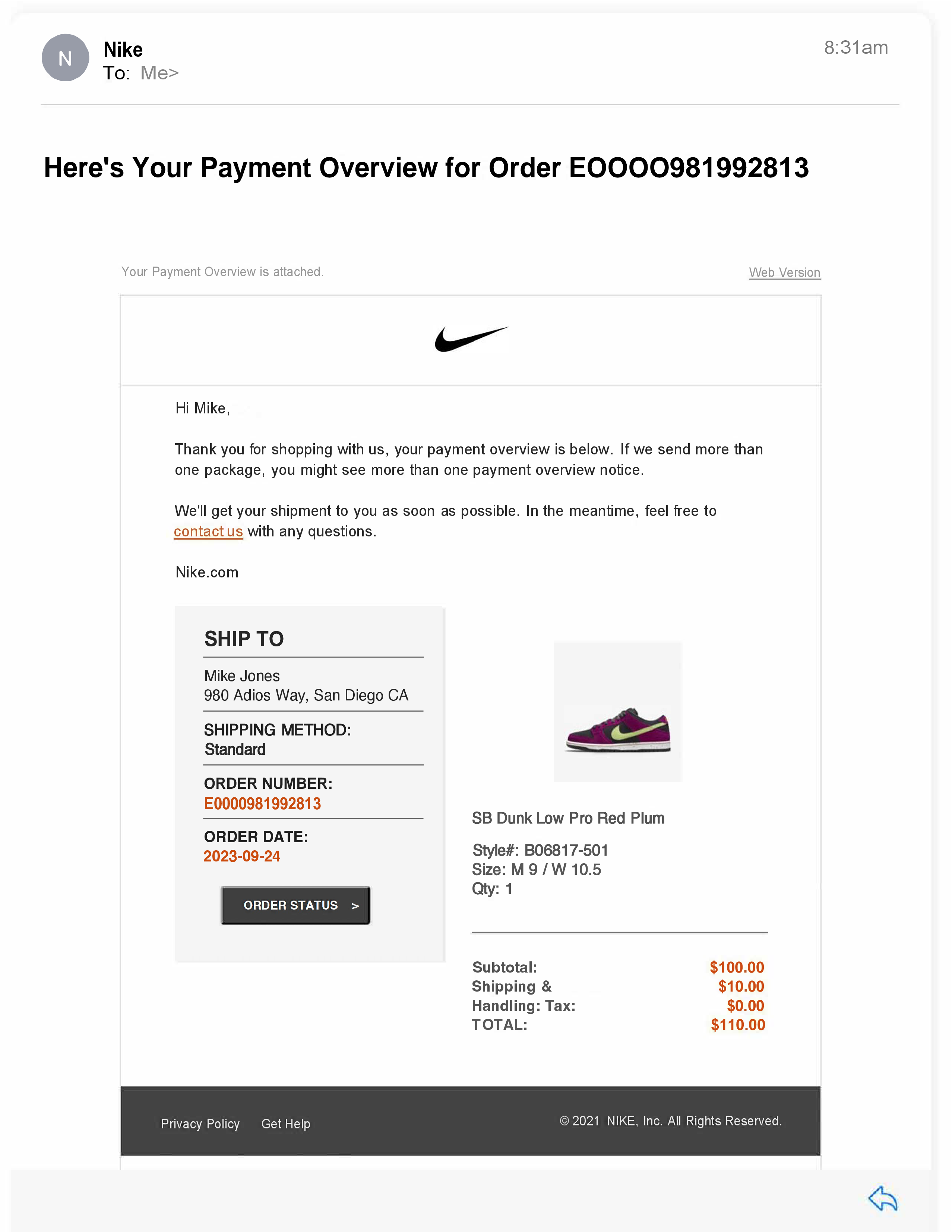 Nike SNKRS receipt template